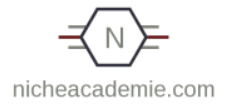 logo nicheacademie.com
